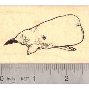  Sperm Whale Rubber Stamp Marine Arts, Crafts & Sewing