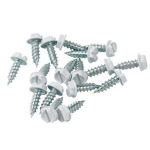  4 each Ace Hex Washer Head Self Sealing Screw (192 H169 