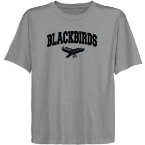  LIU Brooklyn Blackbirds Youth Ash Logo Arch T shirt 