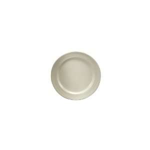  Espree Undecorated Plate, 9 3/4   Case  24 Industrial 
