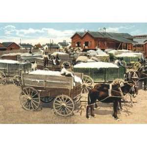 Exclusive By Buyenlarge Cotton Wagons 20x30 poster