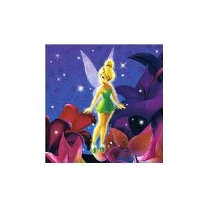 Tinkerbell Tinker Bell Birthday Party Supplies Luncheon Napkins  Toys 