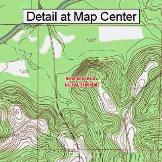  USGS Topographic Quadrangle Map   New Brockton, Alabama 
