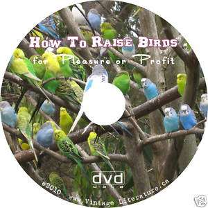 How To Raise Birds & Pigeons ~ Vintage Books on DVD  