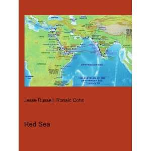 Red Sea Dead Sea Canal Ronald Cohn Jesse Russell  Books