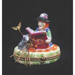  Halloween Reading Witch with Black Cat French Le Limoges 