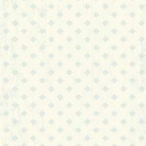   Scrapbook 12x12 Blue Stars Flat Paper   25 pk Arts, Crafts & Sewing