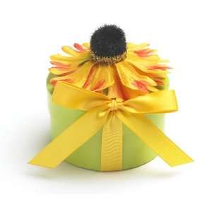  Bloembox Perennials Dogtooth Daisy in Gift Box Patio 