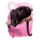 gorgeous black panther cat new oversize canvas tote bag l