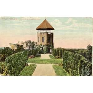 1909 Vintage Postcard   View in Highland Park   Brockton Massachusetts