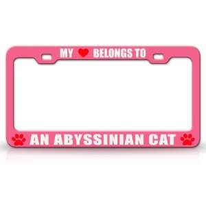 MY HEART BELONGS TO AN ABYSSINIAN Cat Pet Auto License Plate Frame Tag 