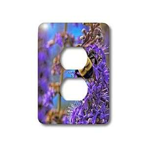  Amy Dyckovsky Roadside Collection   Bumble Bee on Purple 