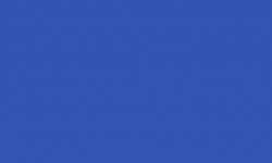 SOLID ROYAL BLUE 6 WALLPAPER BORDER CS11163  