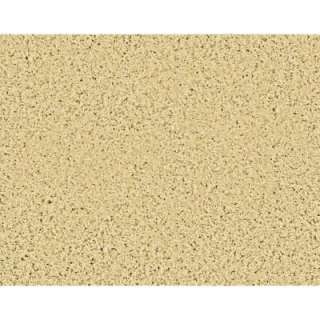 Platinum Plus Pleasing II   Color Grain 12 Ft. Carpet 6782 17 1200 AB 