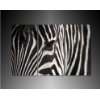Zebra & Afrika Bilder auf Leinwand mit Keilrahmen / XXL Bild 