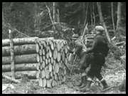 Vintage Logging & Forestry Films Redwoods Timber DVD  