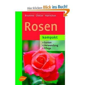 Rosen kompakt Sorten   Verwendung   Pflege  Hella Brumme 