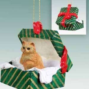  Red Persian in a Box Christmas Ornament