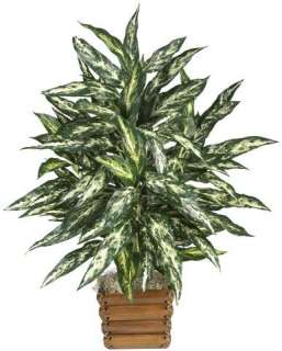 NEARLY NATURAL Artificial 26 Chinese Evergreen Silk Plant with 