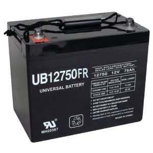   Universal Power Group 45983 Sealed Lead Acid Battery