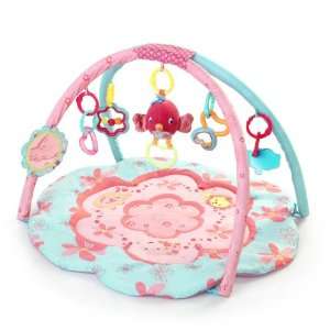  Bright Starts Petals and Friends Activity Gym Baby