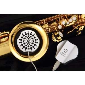  Alto Saxophone Horn Blower From Hollywoodwinds (Basic 
