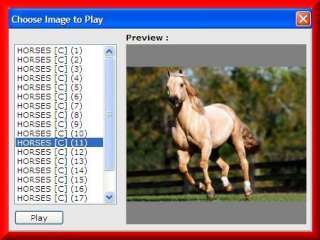CD 500 Computer Jigsaw Puzzles ANIMAL PICTURES  