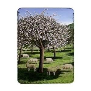  Apple Blossom, 2003 (oil on canvas) by Liz   iPad Cover 