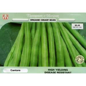   Organic Bean Dwarf Cantare Double Seed Packet Patio, Lawn & Garden
