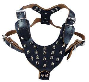 Spikes Leather Dog Harness Bullterrier Pitbull 26 34 Amstaff Boxer 