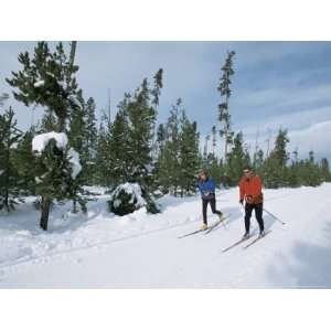 Cross Country Skiing at Rendevous, Western Area of Yellowstone 