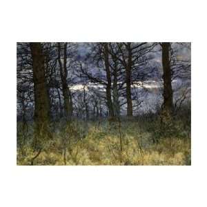 William Fraser Garden   The Woods At Dusk Giclee