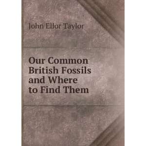   British Fossils and Where to Find Them John Ellor Taylor Books