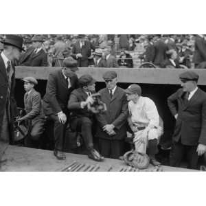  1923 photo Miller Huggins, manager, New York AL & umpires 
