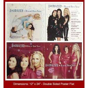  SHEDAISY Brand New Year 12x24 Poster Flat Everything 