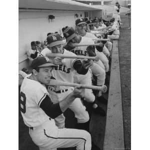  Los Angeles Angels Players Albie Pearson and Bill Moran in 