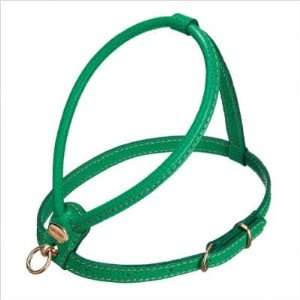  Bundle 91 Fashion Leather Dog Harness in Green