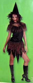 Mystic Witch Adult Womens Halloween Costume #1182 One Size up to 14 