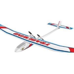   Venom Tradewind 2CH Dual 180 Motor Electric RC Airplane Toys & Games