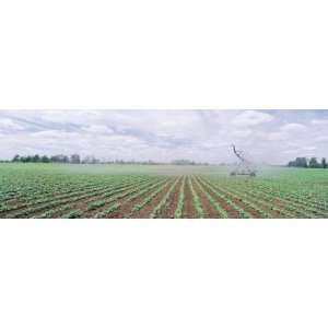  Soybean Field Being Irrigated by an Agricultural Sprinkler 