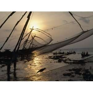  Chinese Style Fishing Nets Dip into the Arabian Sea 