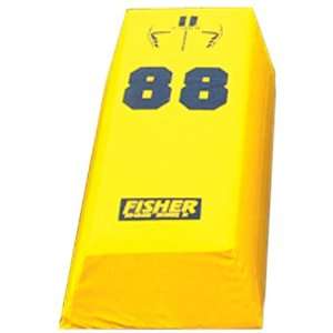  Fisher SO488 Stepover Football Agility Dummies GOLD 48 L X 