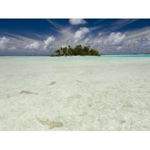  Sharks, Blue Lagoon, Rangiroa, Tuamotu Archipelago, French 