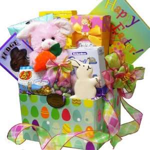  DELIVERY DAY Pink Easter Bunny Care Package Gift Box 