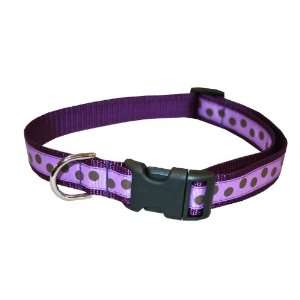  Large Purple Polka Dot Dog Collar 1 wide, Adjusts 18 28 