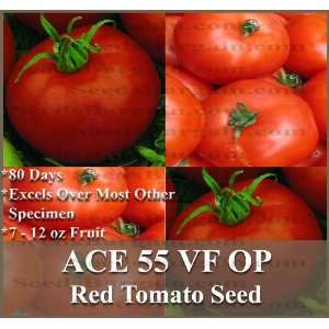 200 ACE 55 Tomato seeds GREAT HEIRLOOM Vigorous, semi determinate ~ 7 
