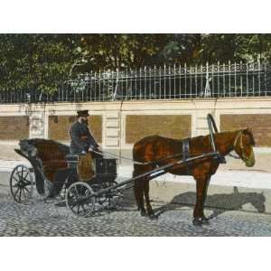  A Russian Horse and Open Carriage, with the Coachman Holding 