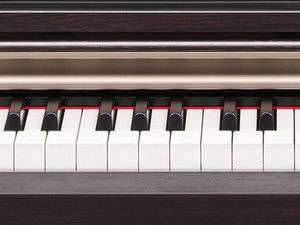    Yamaha ARIUS YDP 141 Digital Piano with Bench Musical Instruments