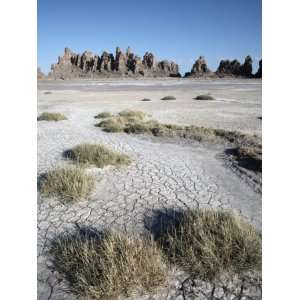  Desolate Landscape of Lac Abbe, Dotted with Limestone 