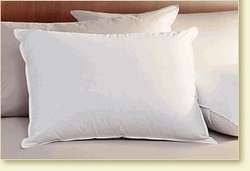Pacific Coast ® Tria ® Standard Size Pillow in many Ritz Carlton 